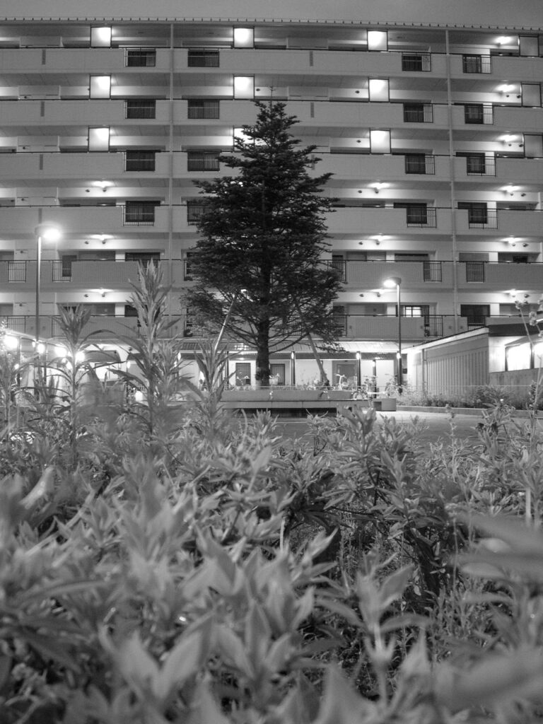 Immeuble résidentiel au Japon en soirée, avec un grand arbre éclairé devant la façade.