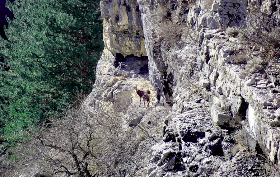 La peur ne l’emporte pas de Yann Leblanc