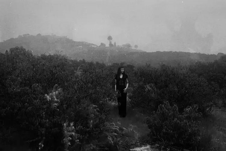 Entretien de Yann Leblanc - Ni Zheng