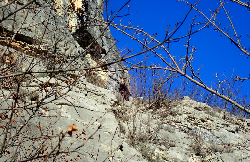 Yann Leblanc nouvelle : La peur ne l’emporte pas