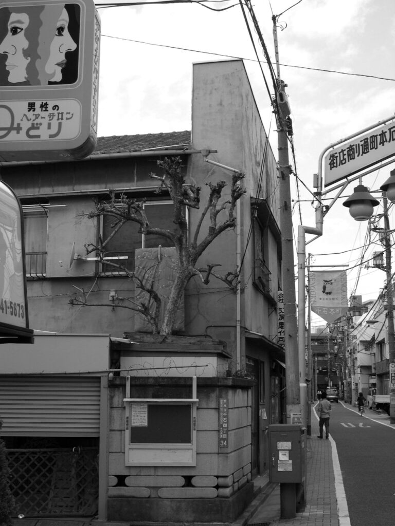 Rue japonaise étroite où un arbre s'élève au milieu des bâtiments, près d'une enseigne de coiffeur.