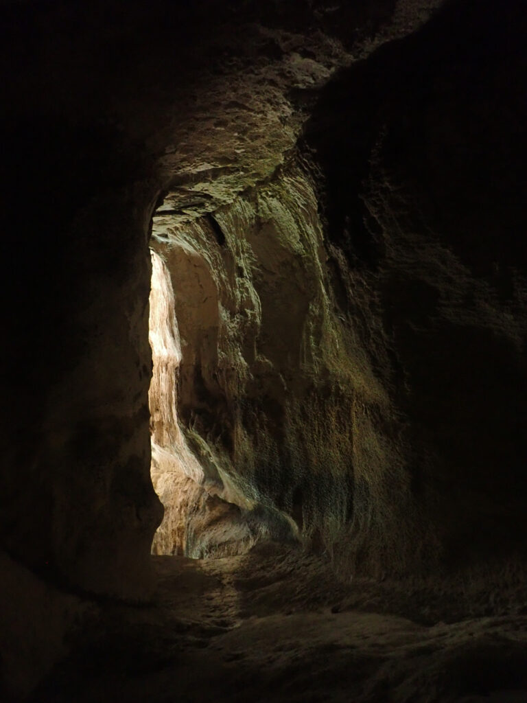Dans la baume aux pigeons