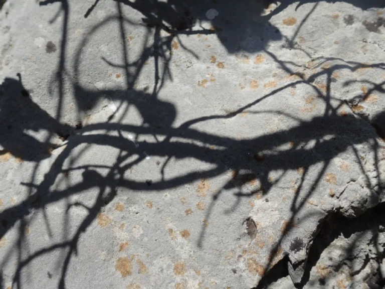 S&rsquo;accroupir