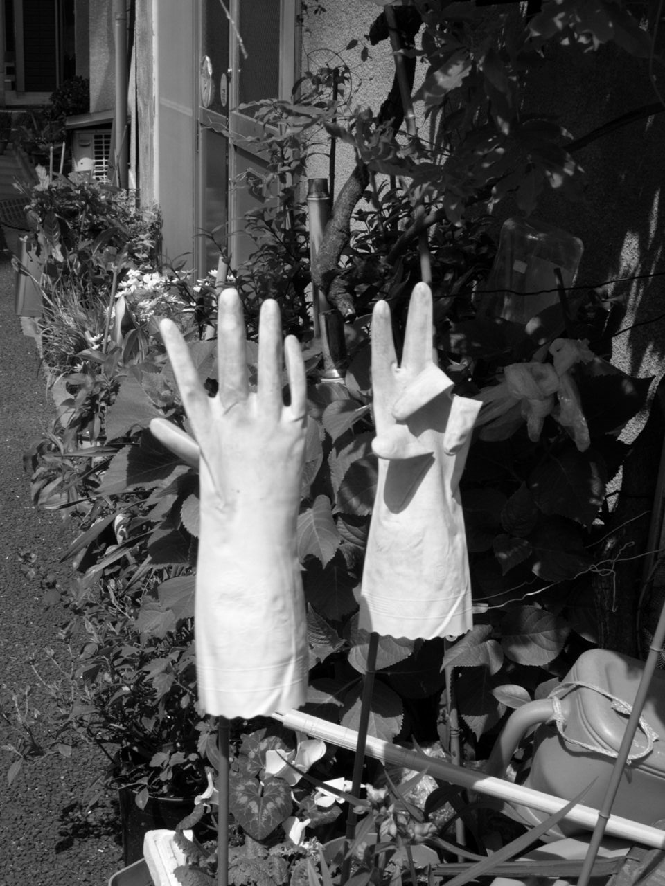 Paire de gants de jardinage clairs plantés debout sur des tuteurs au milieu de la végétation.
