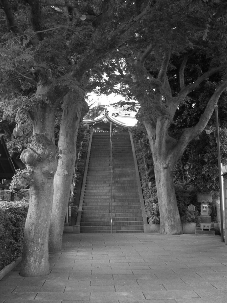 Grand escalier bordé d'arbres anciens menant à un sanctuaire japonais.